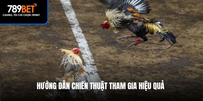 Hướng dẫn chiến thuật tham gia hiệu quả